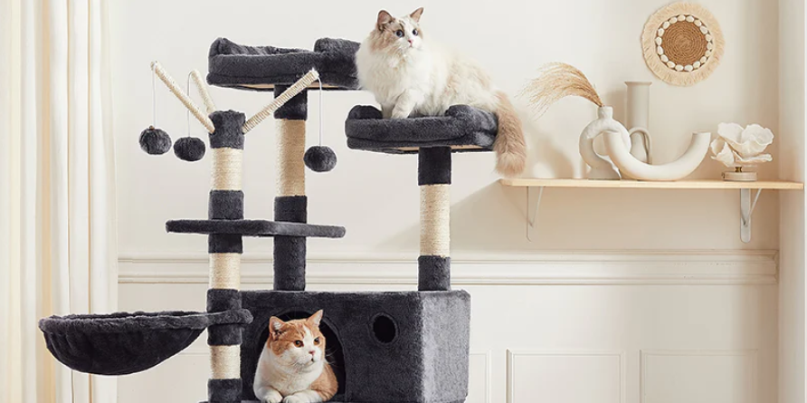 Condo pour chats de grande taille - Les chats peuvent aussi avoir leur propre chambre d'amour de rêve