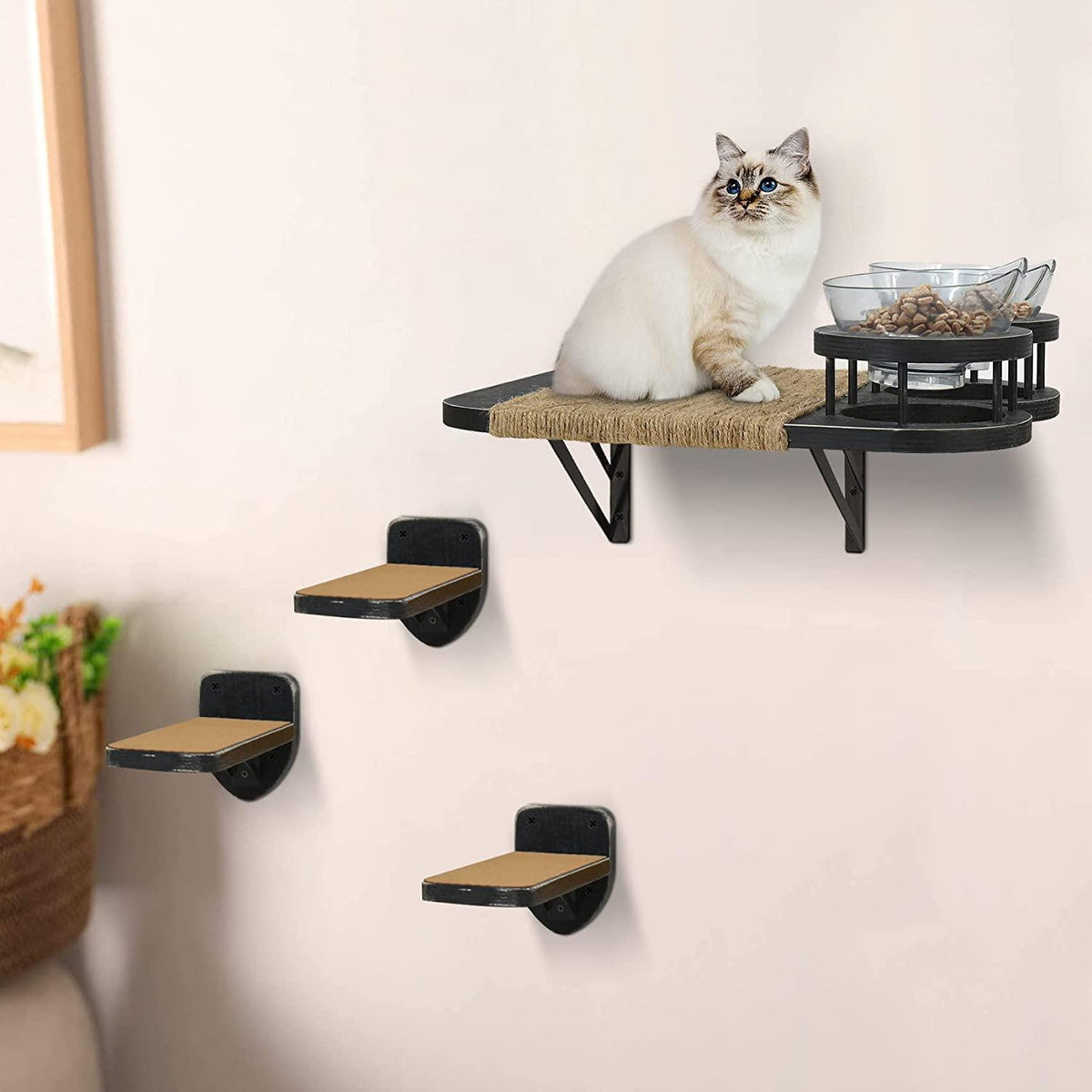 Rompre l'ordinaire ! Une corniche unique permet aux chats de grimper librement