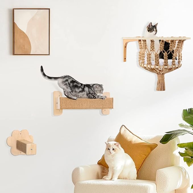 Installations murales créatives pour chat : Améliorer la qualité de vie de votre chat