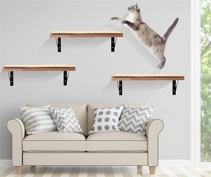 Révélation des meilleurs aménagements muraux pour chats de l'année : Création d'une utopie féline