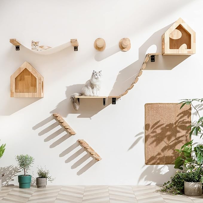 Étagères murales DIY pour chat | Votre chat peut aussi avoir une vie féline exquise