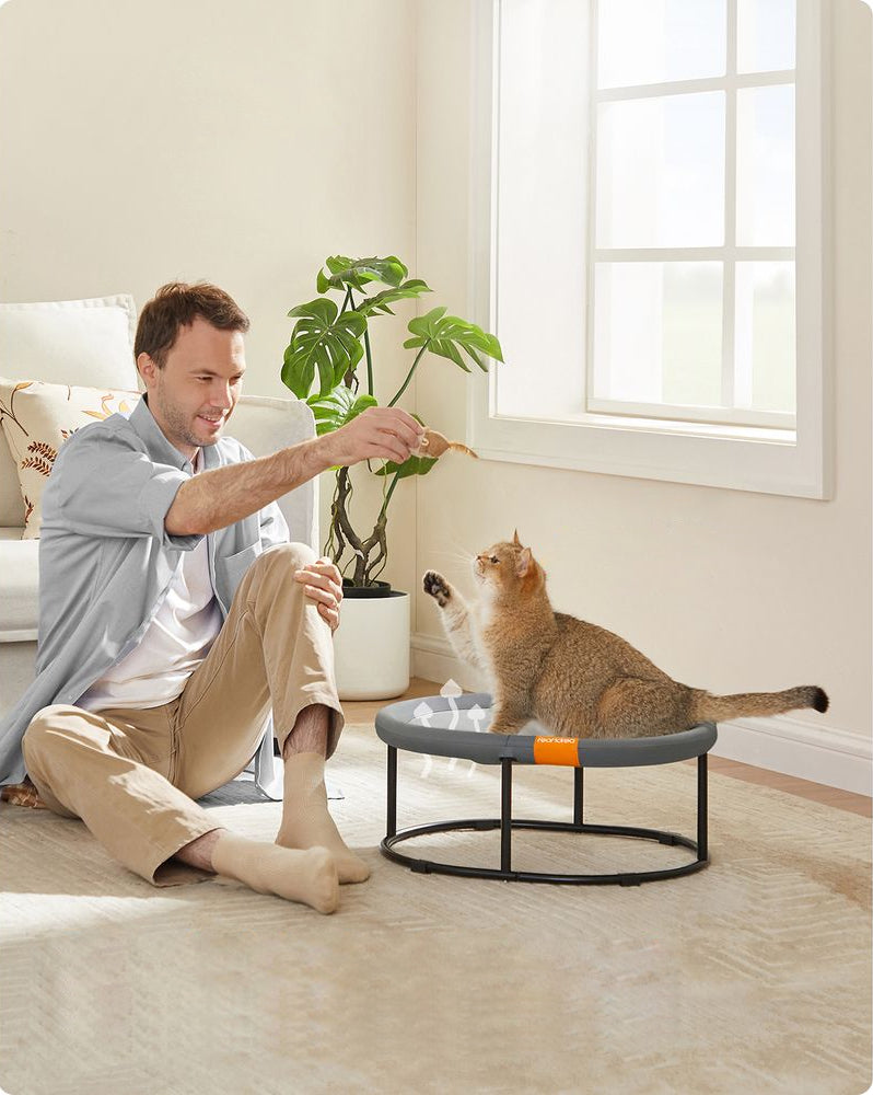 Arbres à chat pour chats âgés : une nécessité luxueuse