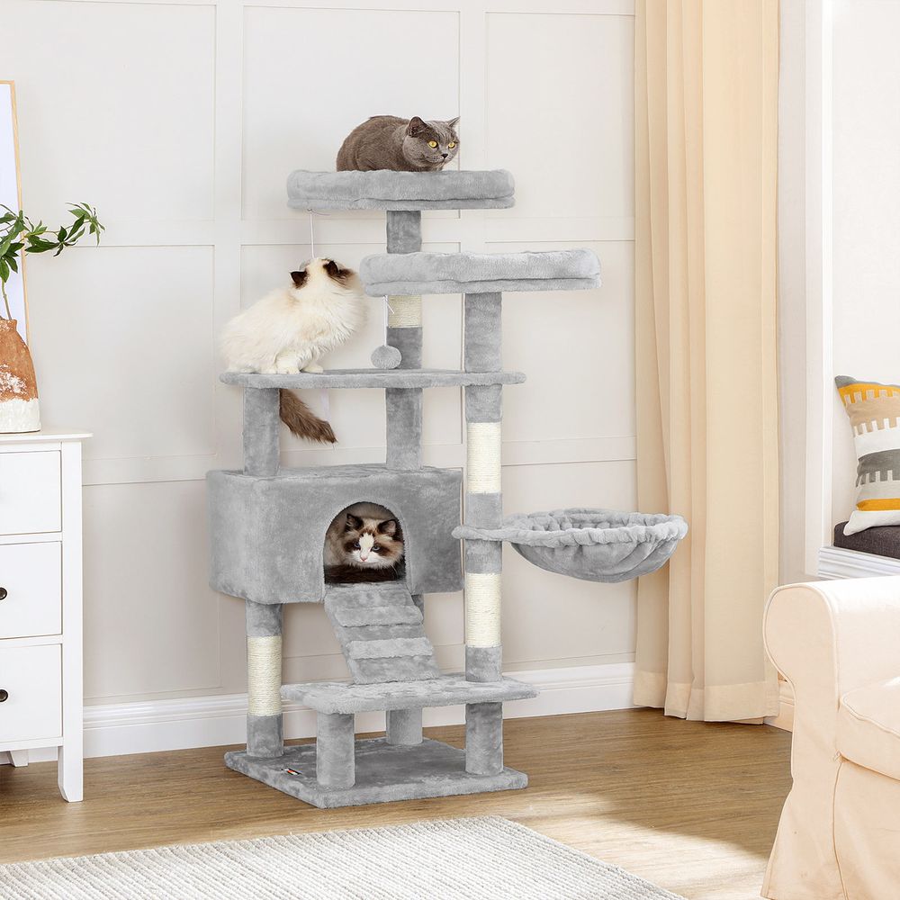 Arbre à chat pour Maine Coon: Un paradis pour les grands félins