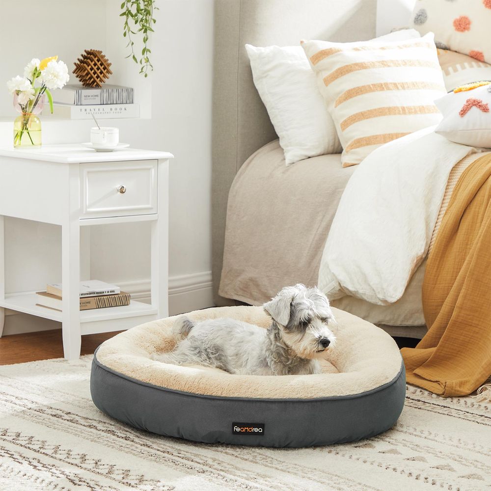 Top 10 des meilleurs paniers pour assurer le confort de votre chien