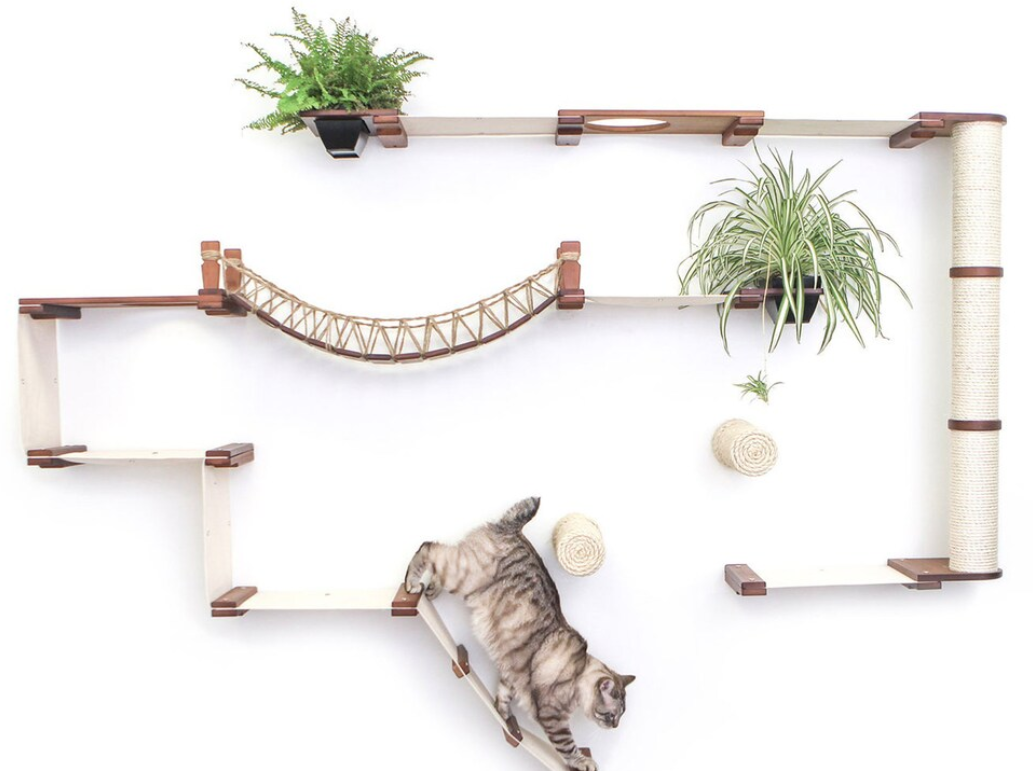 Personnalisez le temps de jeu de votre chat avec des meubles muraux DIY pour chats