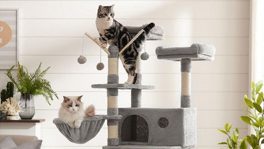 10 meilleurs arbres à chat pour les grands chats