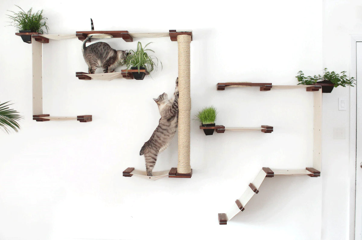 Meubles muraux pour chats : Améliorer la vie des compagnons félins