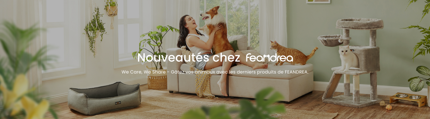 Nouveautés chez Feandrea
