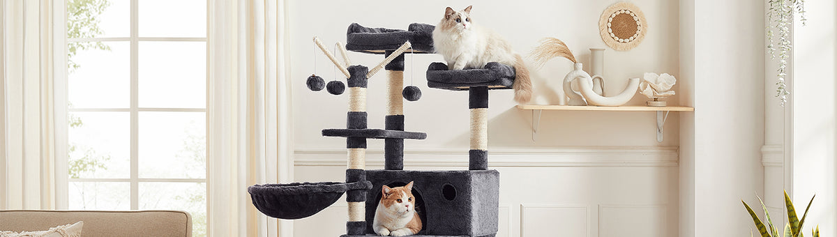 Chats