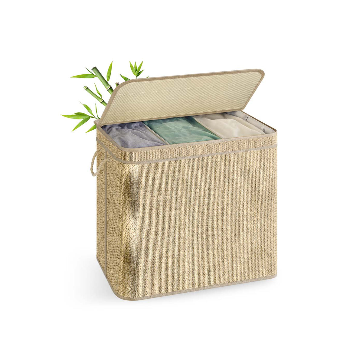 LCB069Y01