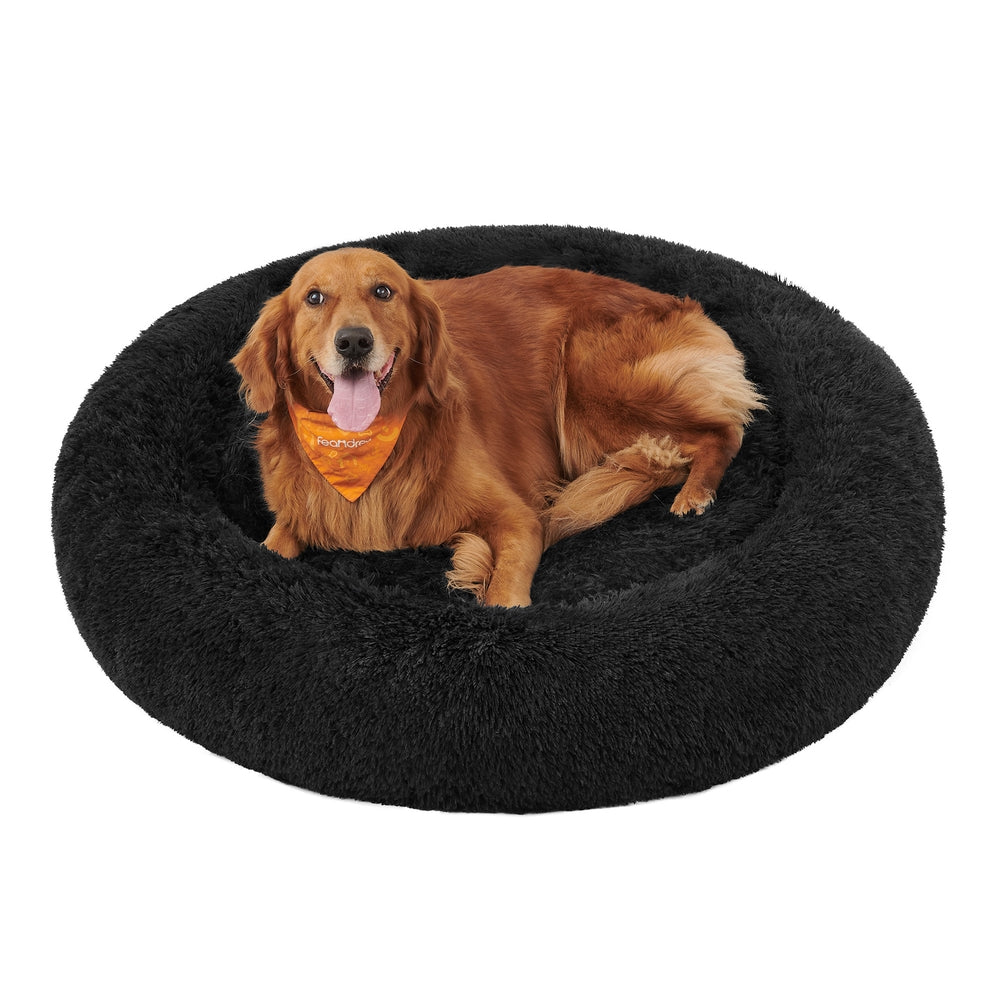 PGW043B01