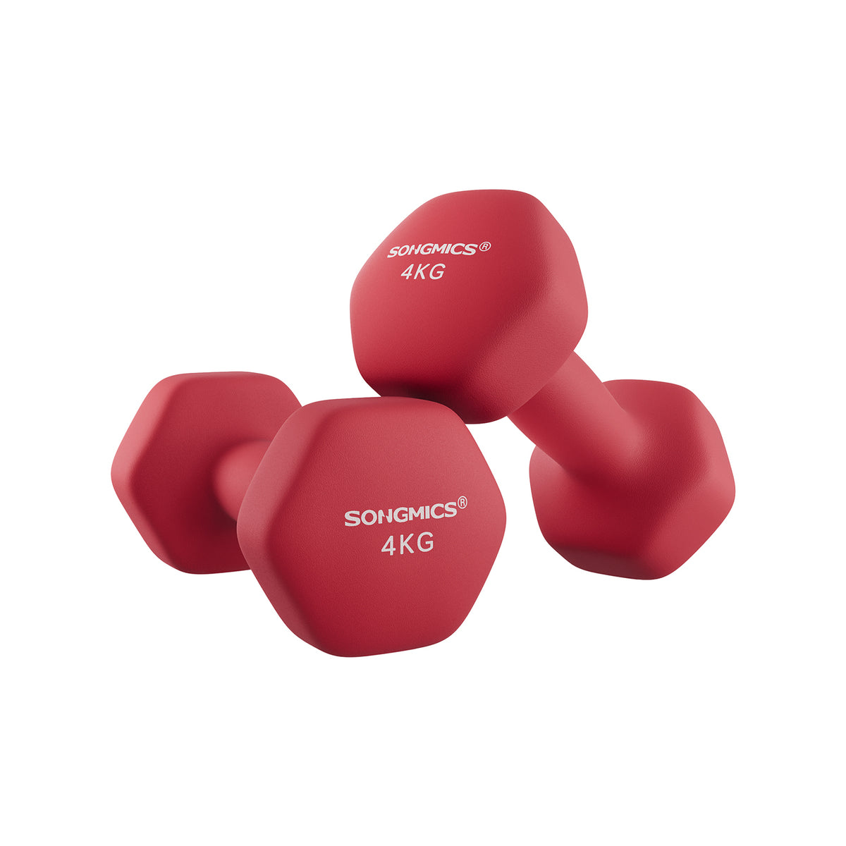 Lot de 2 haltères hexagonaux