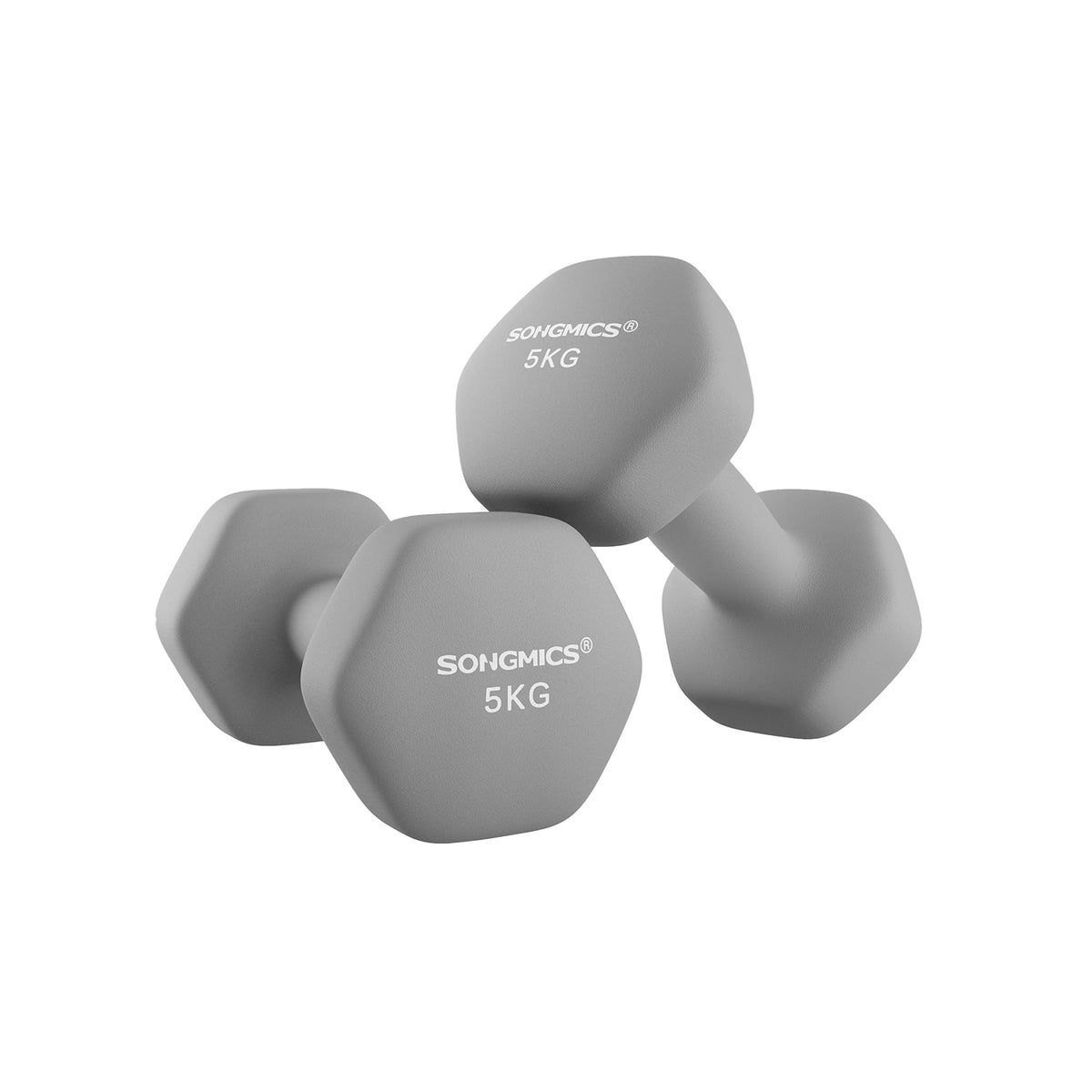 Lot de 2 haltères hexagonaux